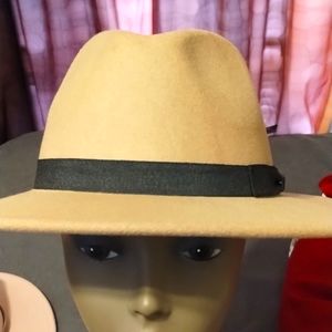 Peter Grimm hat collection